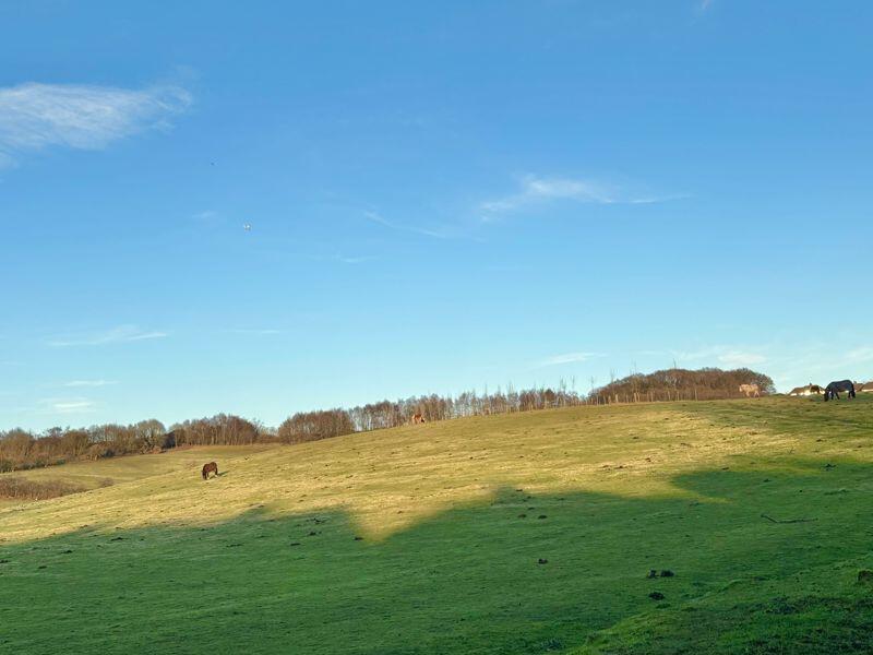 Additional image 29 of Wimperis Way, Great Barr, Birmingham B43 7DD