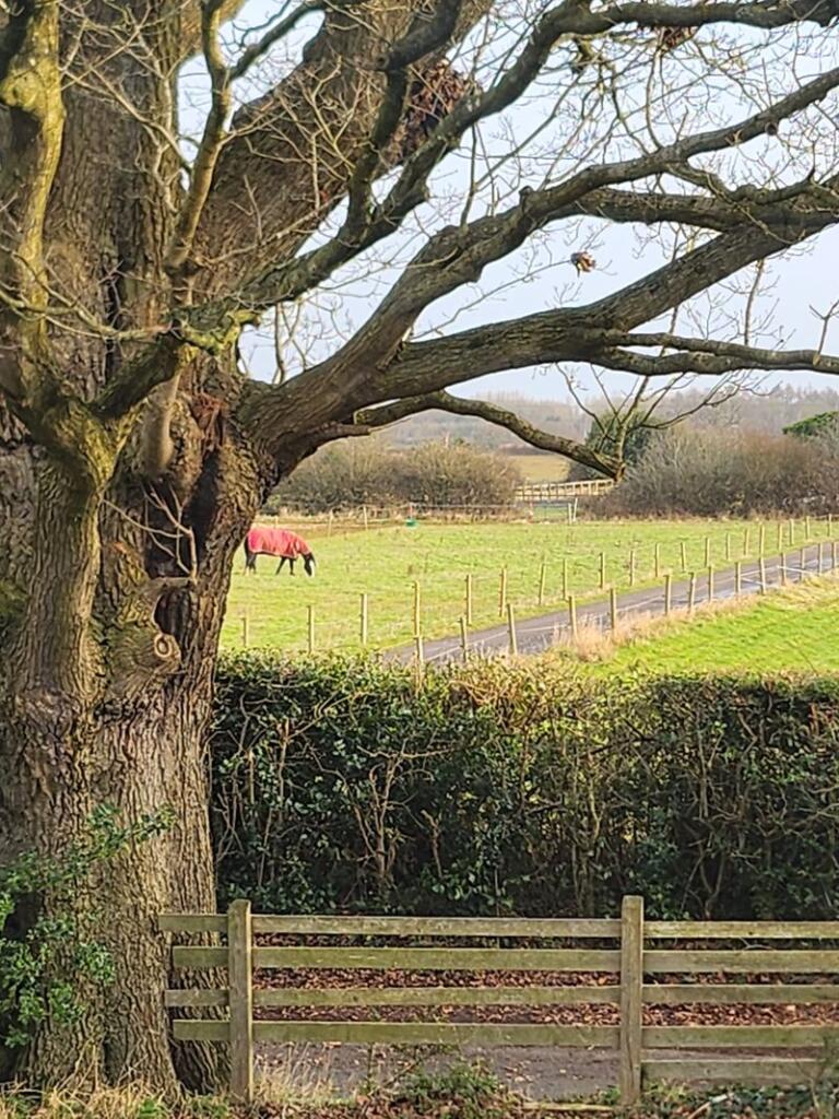 Additional image 10 of Tiller Grove, Four Oaks, Sutton Coldfield, B75 5TT