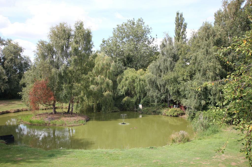 Additional image 39 of Mare Fen, Littleport
