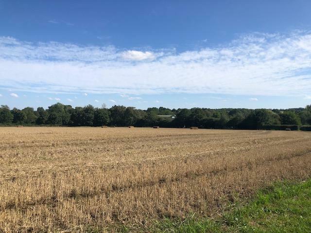 Additional image 19 of Caxton Road, Bourn, Cambridge