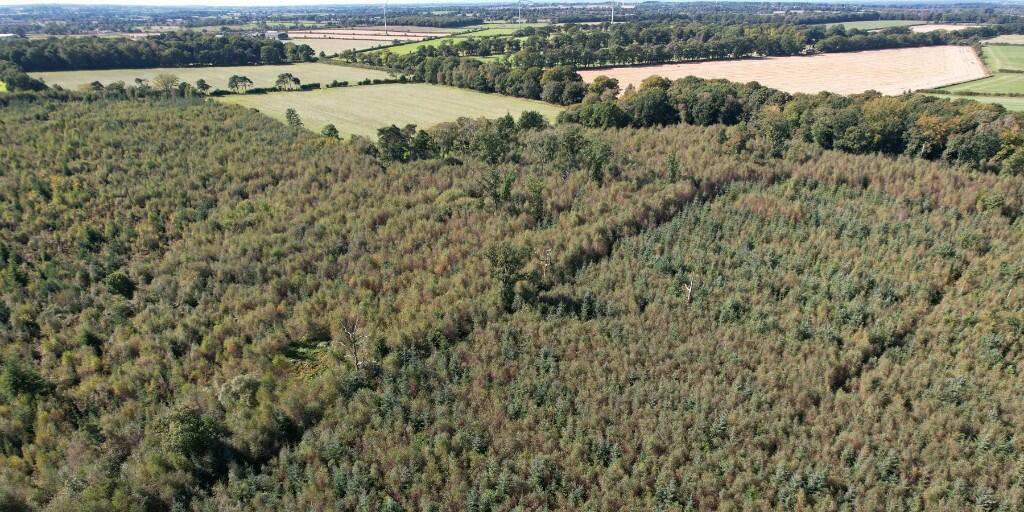 Additional image 13 of Sowerby Wood, Carlisle, Cumbria, CA5