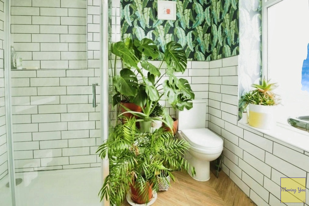 Additional image 8 of Wentloog Road, Rumney, Cardiff