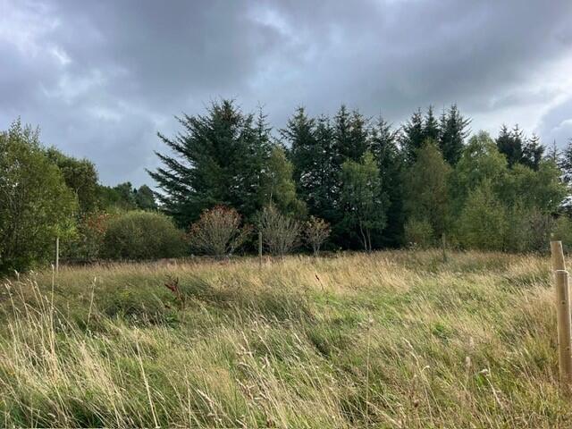 Additional image 4 of Drybridge, Buckie, Moray