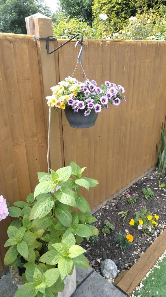 Additional image 26 of Wesley Way, Amington