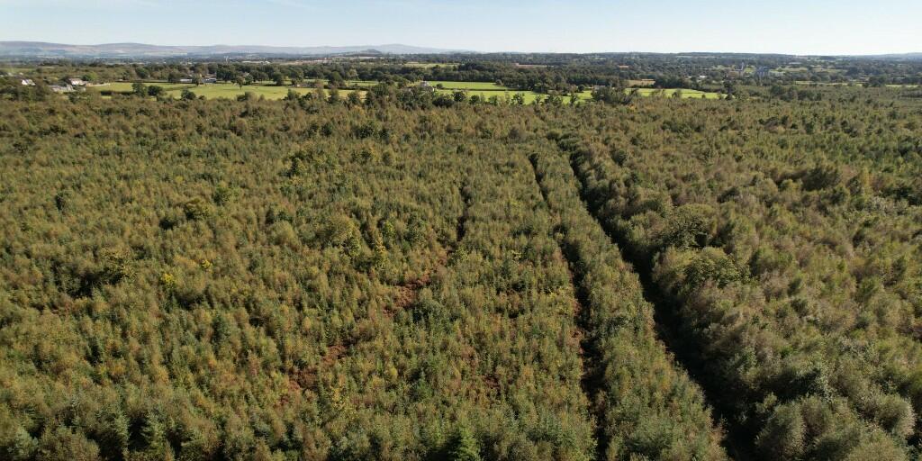 Additional image 14 of Sowerby Wood, Carlisle, Cumbria, CA5