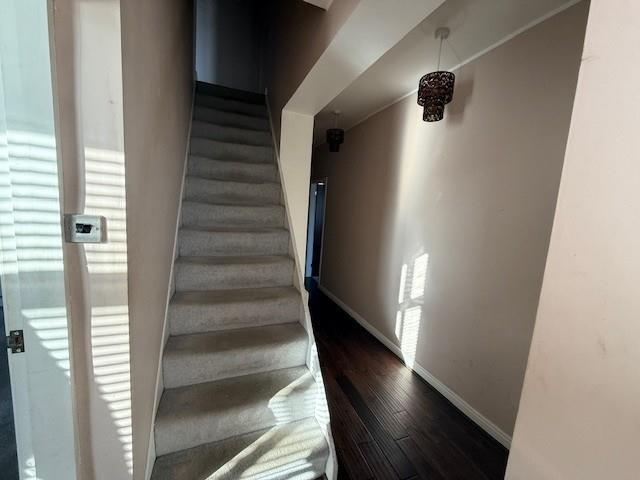 Additional image 4 of Lowther Street, Undercliffe, BD2