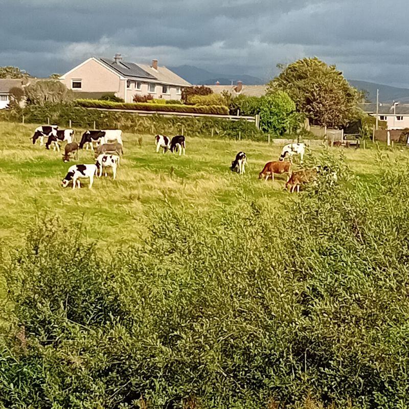 Additional image 24 of Links Crescent, Seascale