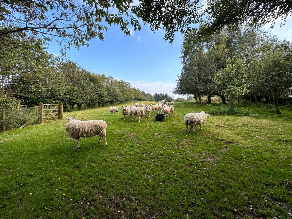 Additional image 25 of Hethersgill, Carlisle, CA6