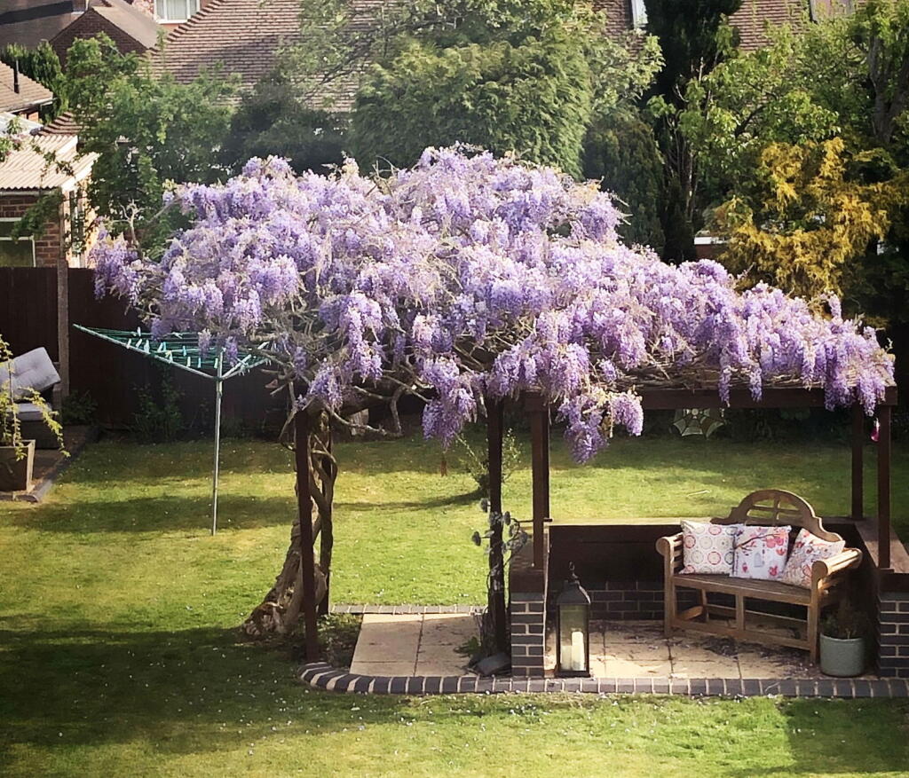 Additional image 25 of Woodlands Lane, Shirley