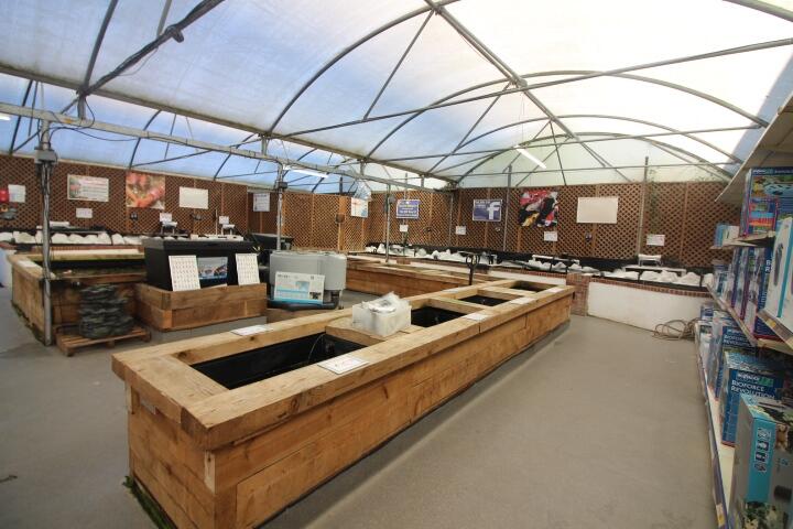 Additional image 2 of World Of Water, Mulbrooks, Hailsham, East Sussex, BN27