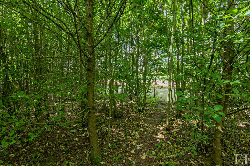 Additional image 38 of Lode, Cambridge