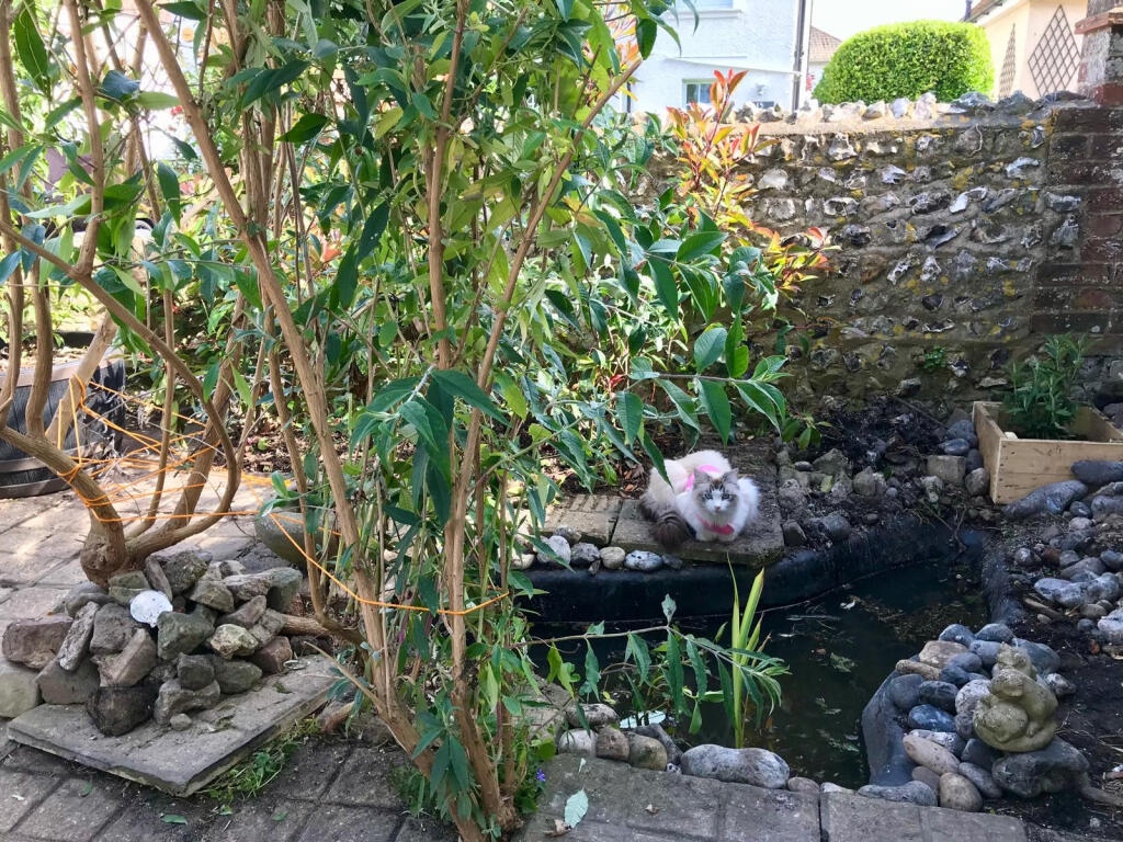 Additional image 14 of Nevill Road, Rottingdean , East Sussex, BN2