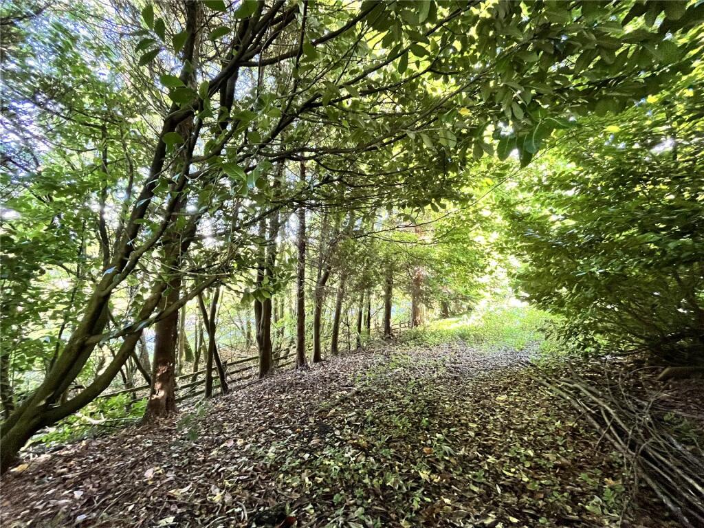 Additional image 18 of Greenhead, Brampton, CA8