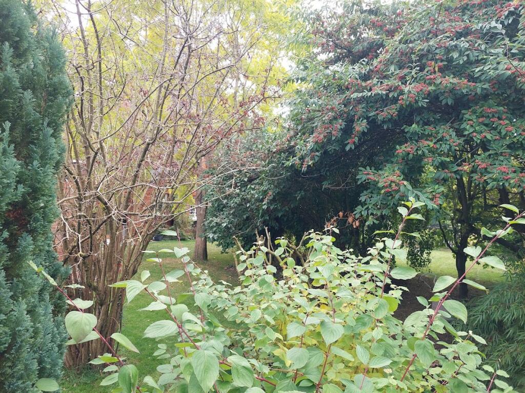 Additional image 19 of Water Lane, Radwinter, Saffron Walden