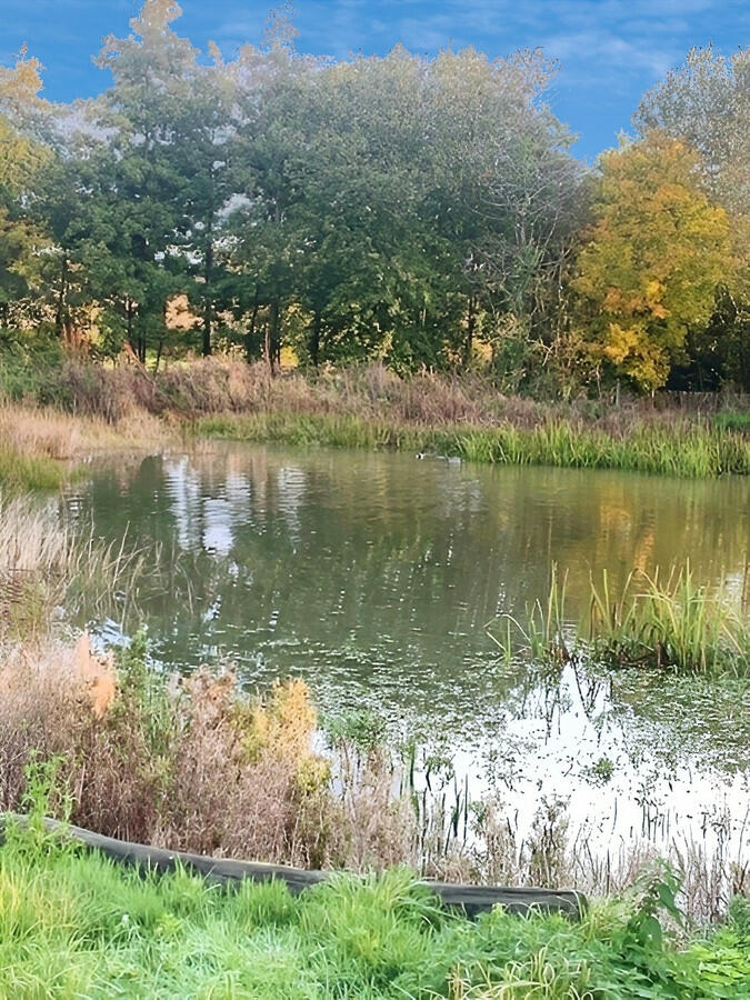 Additional image 13 of Cherry Brook, Newmarket, CB8