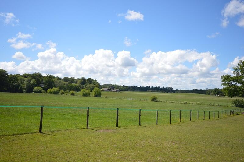 Additional image 8 of Chapel Lane, Burley, Ringwood, Hampshire, BH24