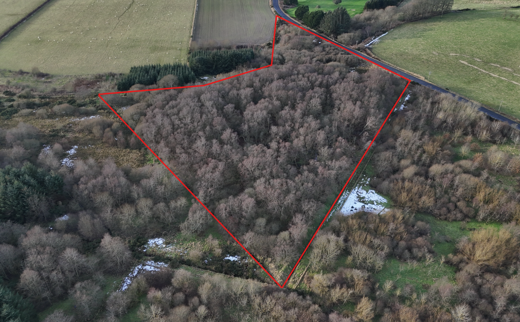 Additional image 6 of Barra Moss Woodland, Oldmeldrum