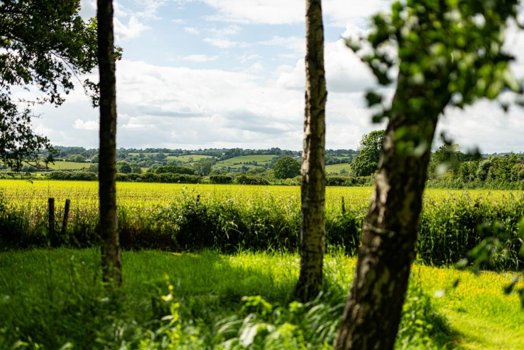 Additional image 14 of Magdalen Lane, Wingfield, BA14