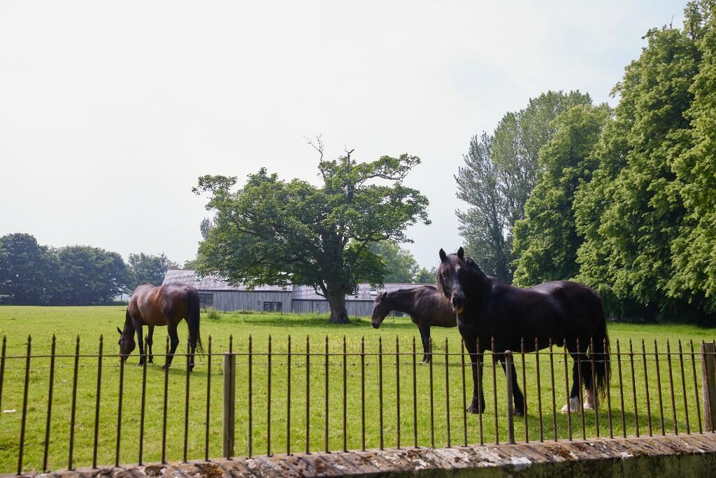 Additional image 19 of Manor Farm,
Crofton,
Thursby,
Carlisle,
CA5 6QB