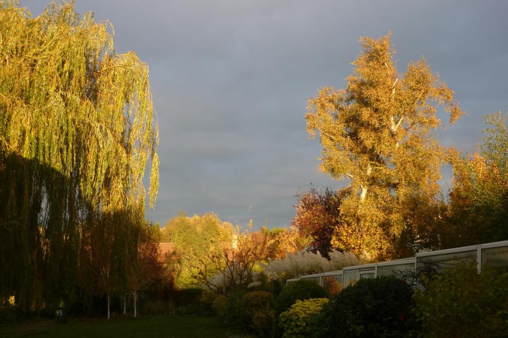 Additional image 31 of London Road, Harston, CB22