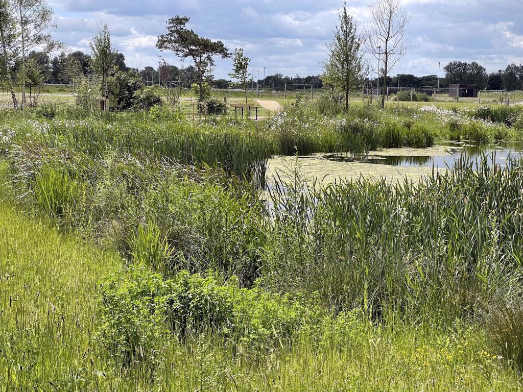 Additional image 8 of Plot 8, Gillyflower Lane, Waterbeach, Cambs, Waterbeach, Cambridge, Cambridgeshire, CB25 9QN