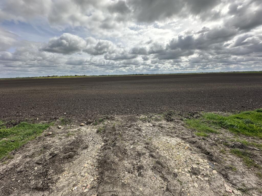 Additional image 17 of Lot 2 Four Balls Farm, Hundred Foot Bank, Pymoor,