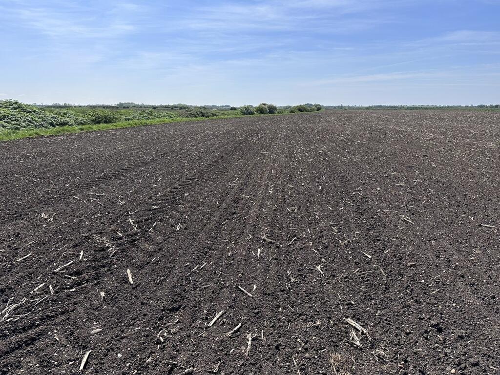 Additional image 4 of Arable Land At Coveney, Short Causeway, Witcham, Cambridgeshire, CB6 2DG