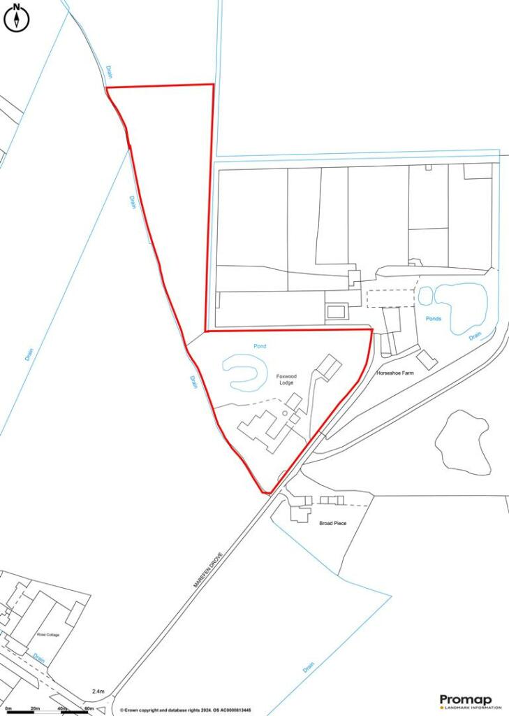 Additional image 51 of Mare Fen, Littleport