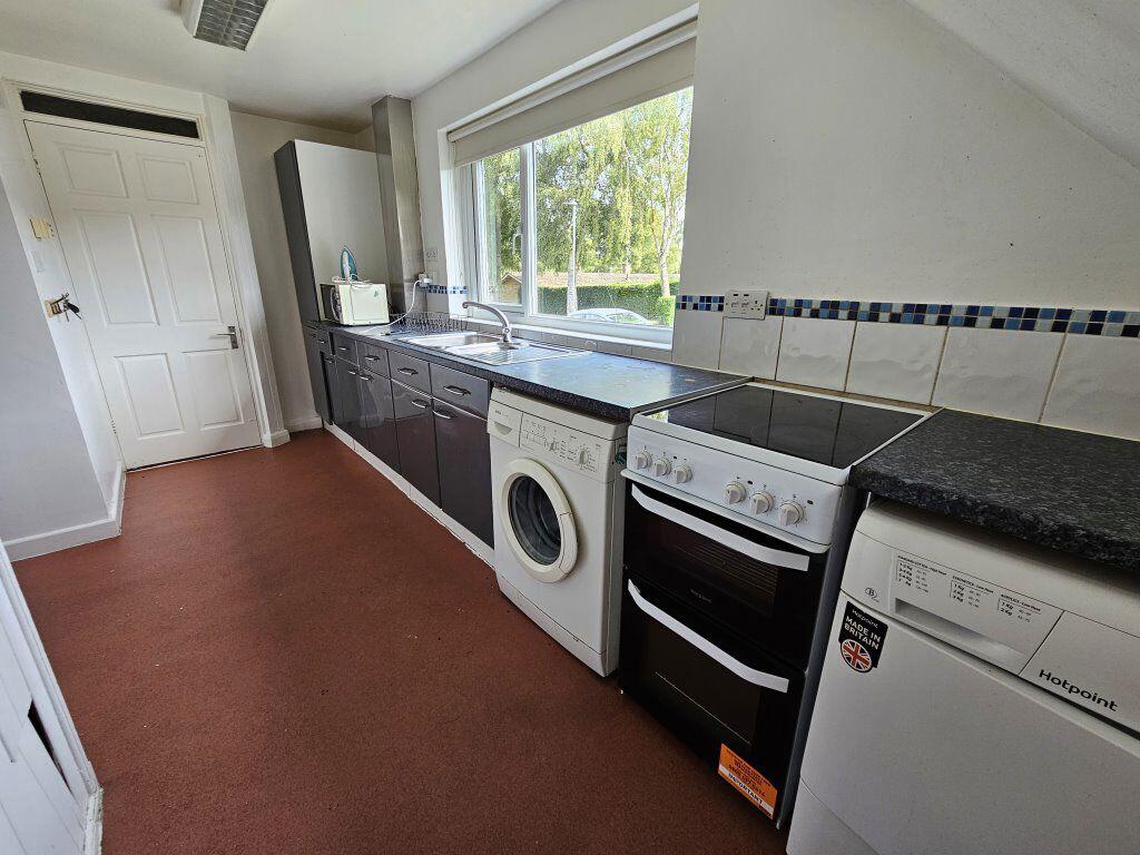 Additional image 14 of Cheviots