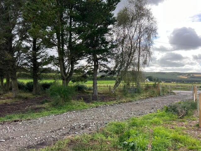 Additional image 6 of Drybridge, Buckie, Moray