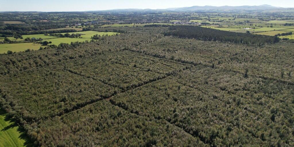 Additional image 15 of Sowerby Wood, Carlisle, Cumbria, CA5