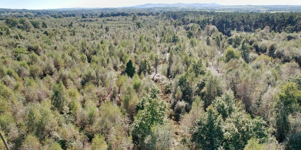 Additional image 19 of Sowerby Wood, Carlisle, Cumbria, CA5
