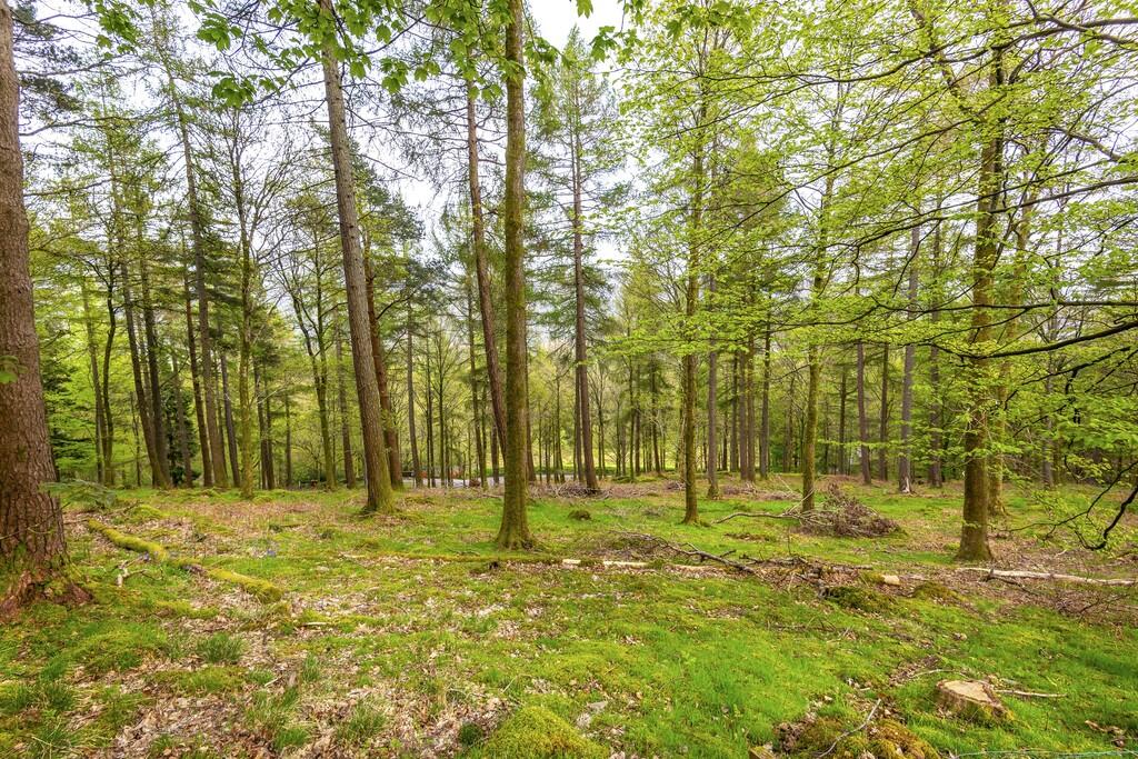 Additional image 26 of The Coppice, Manesty, Keswick, Cumbria, CA12 5UG