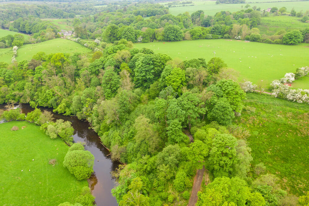 Additional image 33 of Lyne View, Rackbridge, Hethersgill, Carlisle, Cumbria, CA6 6HX