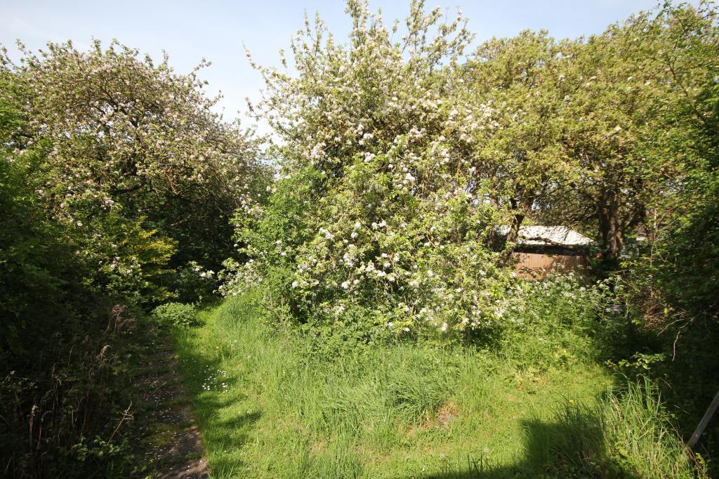 Additional image 13 of Main Street, Witchford