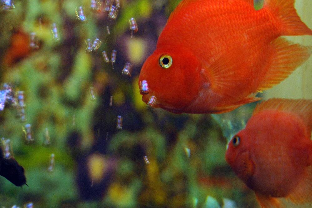 Additional image 12 of Sophia House 28 Cathedral Road, Cardiff