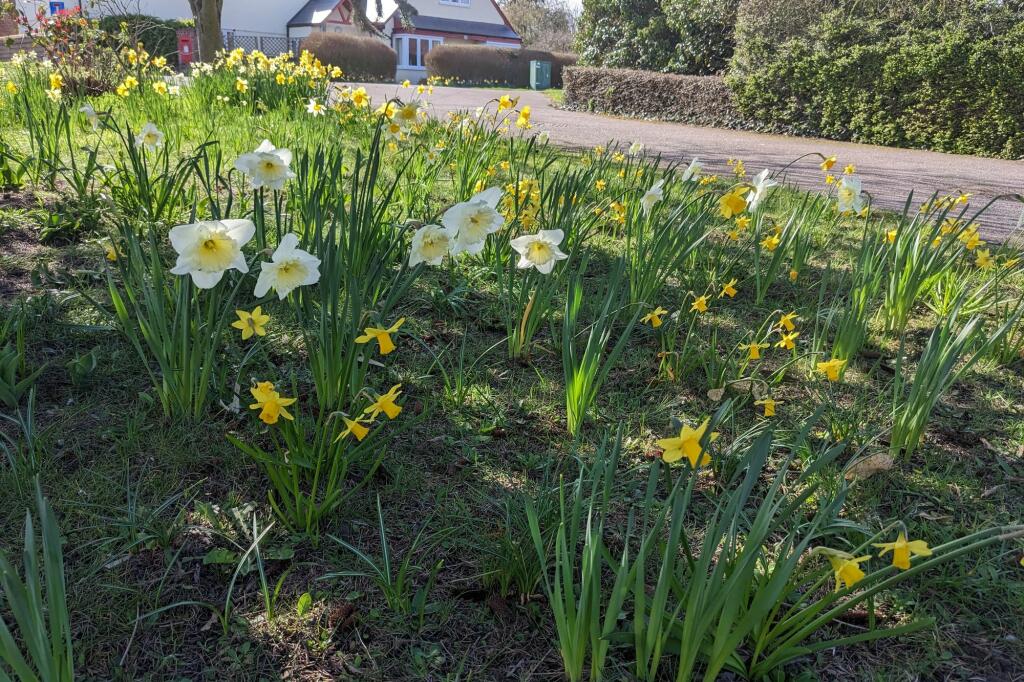 Additional image 32 of London Road, Harston, CB22