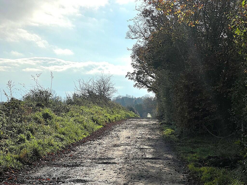 Additional image 32 of Houghton, Carlisle