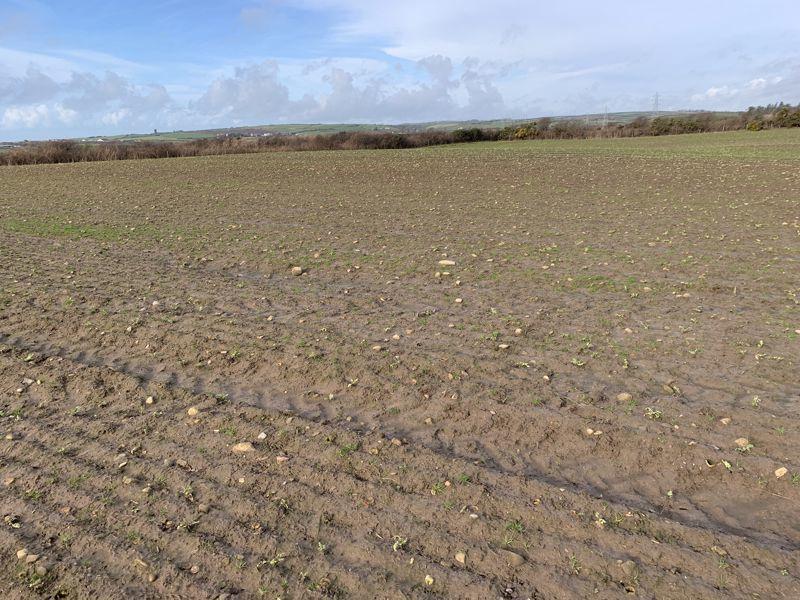 Additional image 5 of Lot 4 - Land at Ehenside Farm, Braystones, Beckermet, CA21 2YL -