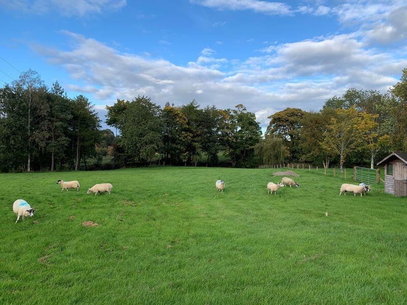 Additional image 29 of 5 Rosebank, Heads Nook