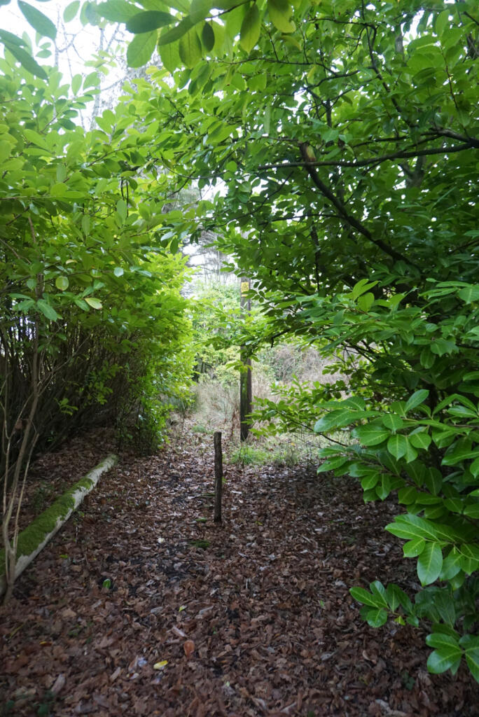 Additional image 21 of Glenwood, Ravenglass, Cumbria CA18 1RN