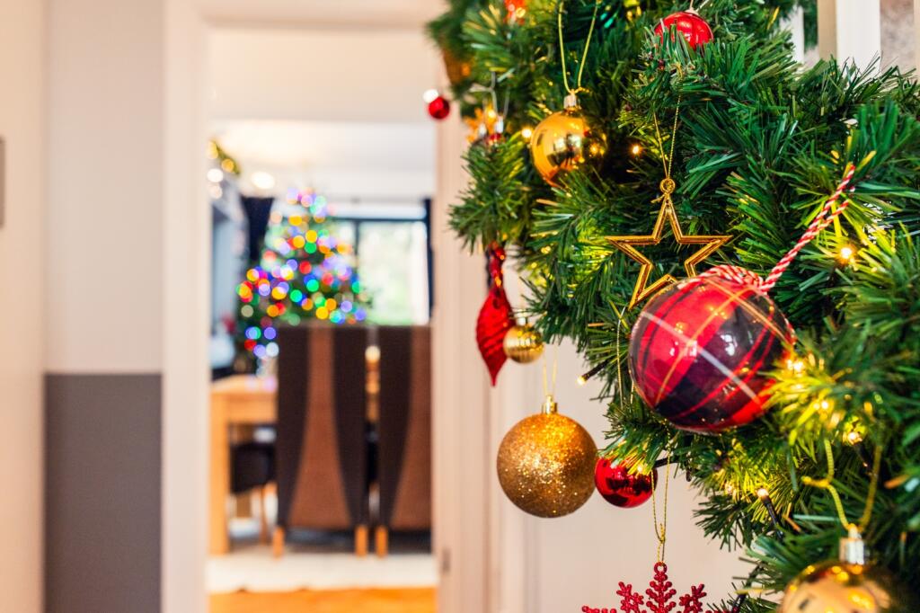 Additional image 17 of Dorchester Avenue, Penylan