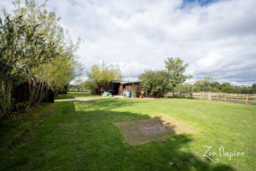 Additional image 30 of Sturmer