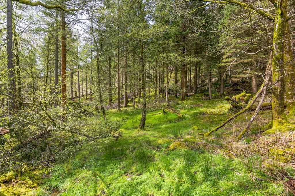 Additional image 25 of The Coppice, Manesty, Keswick, Cumbria, CA12 5UG