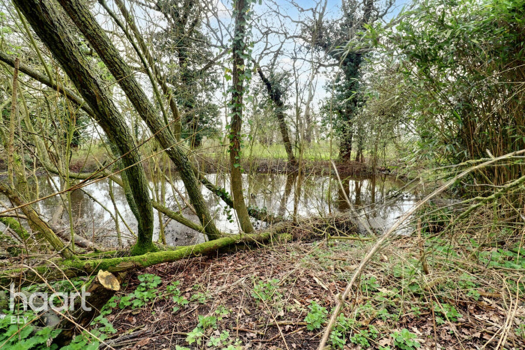 Additional image 12 of Bridge Road, Mepal