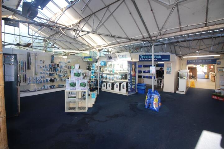 Additional image 5 of World Of Water, Mulbrooks, Hailsham, East Sussex, BN27