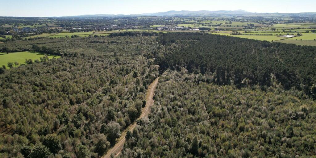 Additional image 16 of Sowerby Wood, Carlisle, Cumbria, CA5
