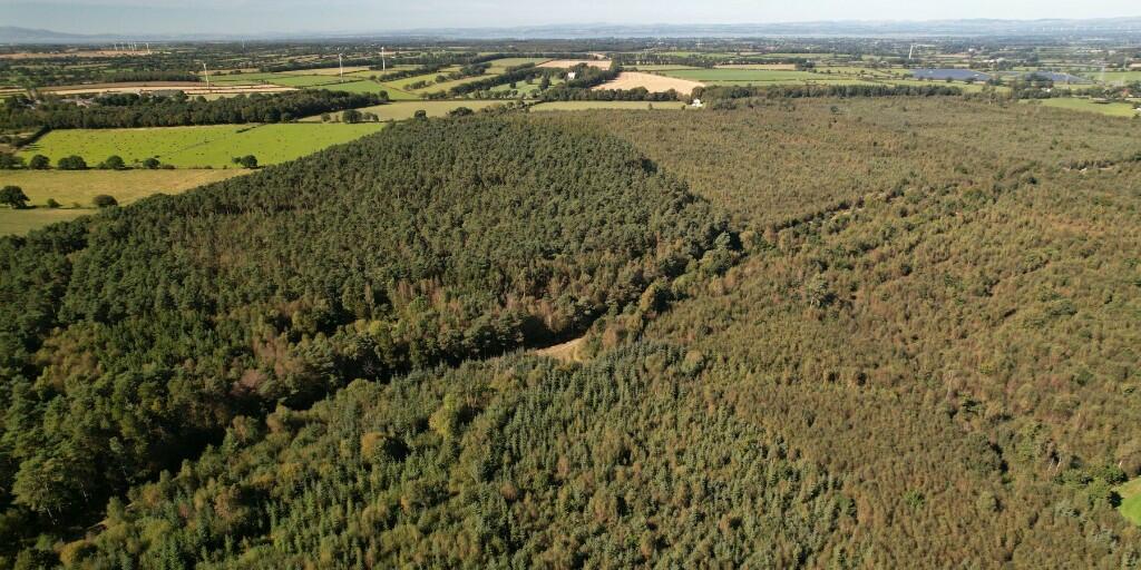 Additional image 3 of Sowerby Wood, Carlisle, Cumbria, CA5
