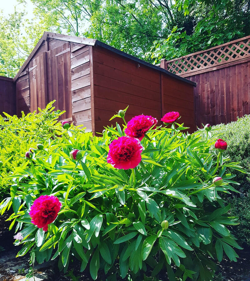 Additional image 16 of Hoyle Court Avenue, Baildon, BD17