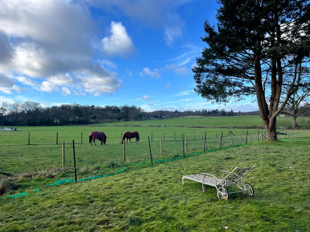 Additional image 19 of Chapel Lane, Burley, Ringwood, Hampshire, BH24